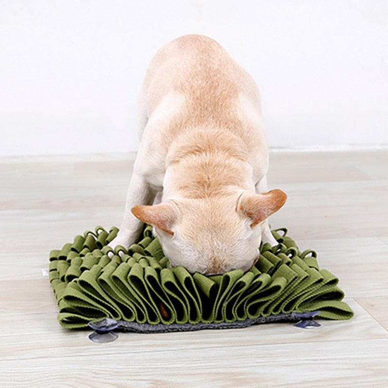 Dog Sniffing Training Mat With Suction Cup