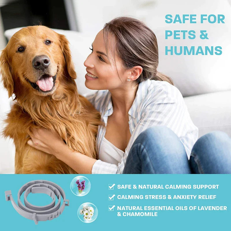 Effective Calming Collar For Dogs