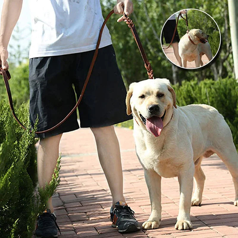 2 Padded Traffic Handles Leather Dog Leash