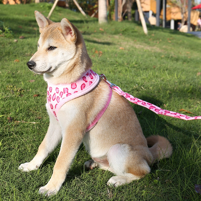 Cute Pet Dog Harness & Leash Set