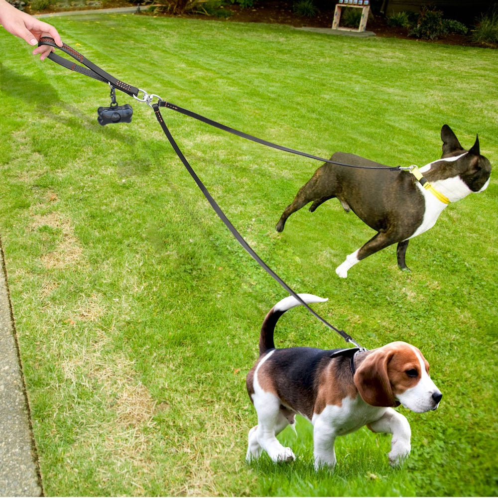 Leather 2 Ways Dog Double Leads