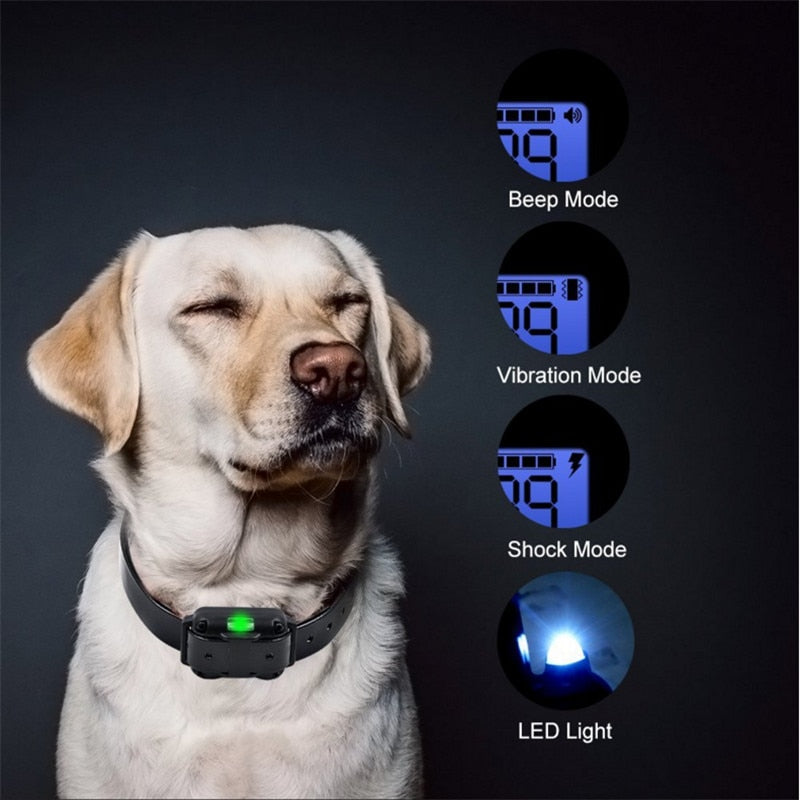800m Electric Dog Training Collar