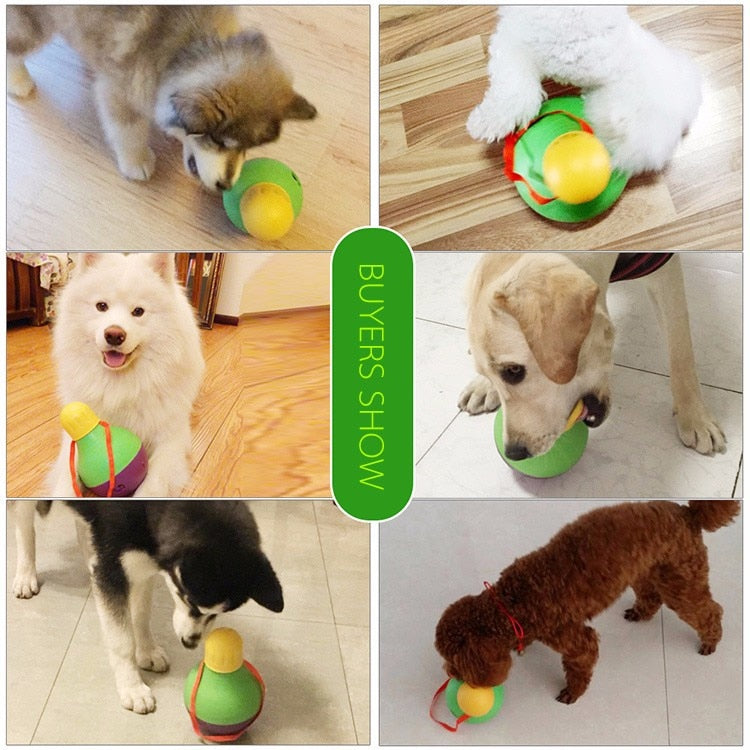 Bob-A-Lot Fun Pet Toy