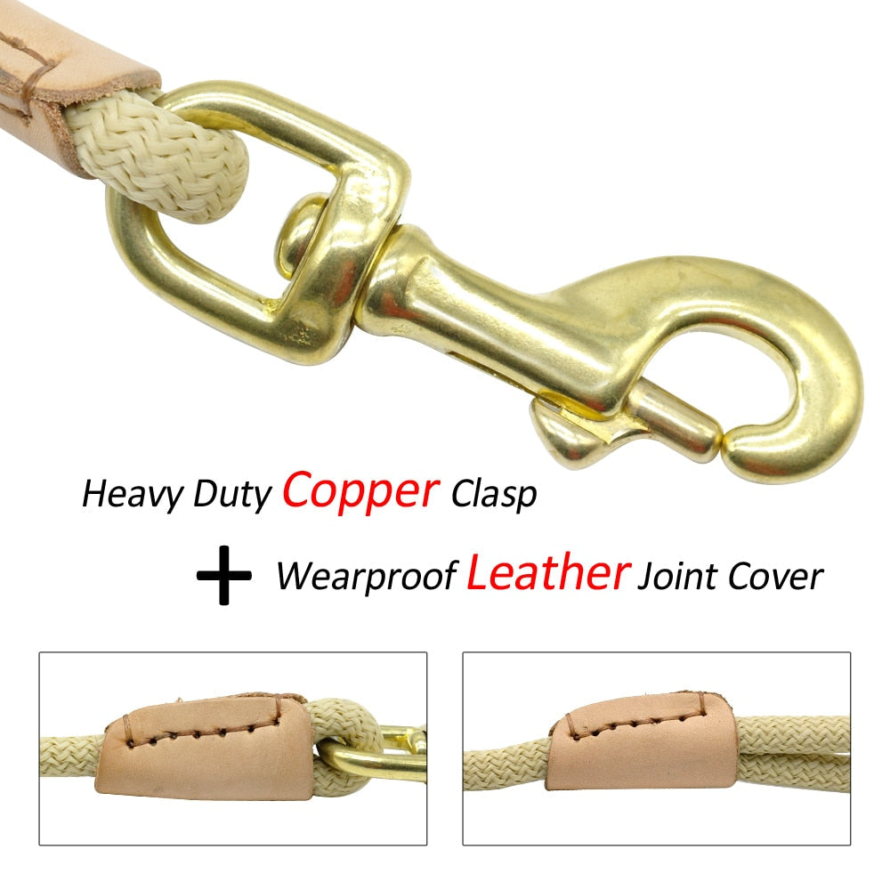 Designer Non-Slip Dog Leash