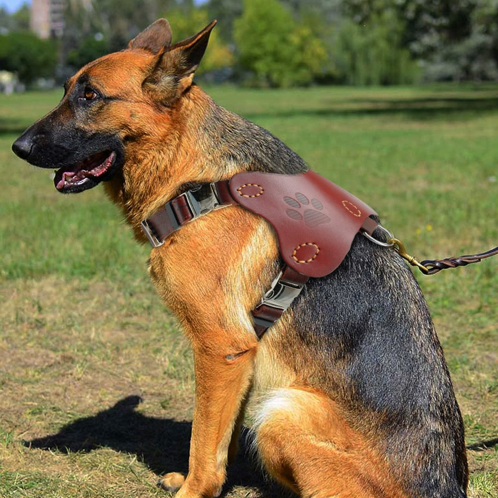 Genuine Leather Pitbull Terrier Harnesses