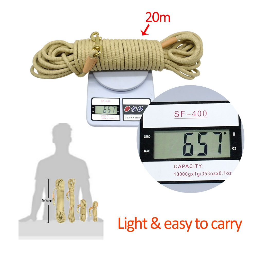 Designer Non-Slip Dog Leash