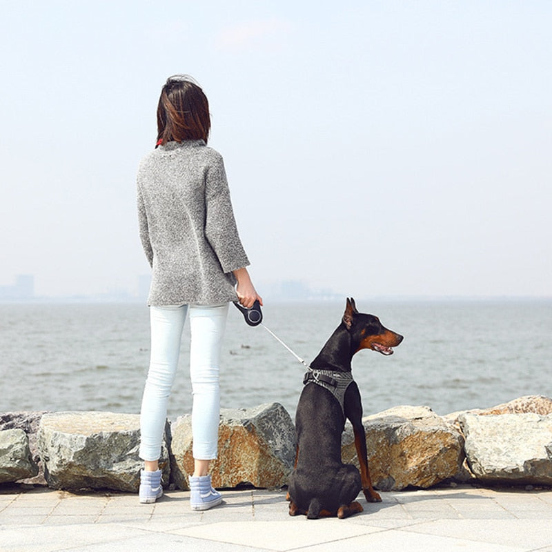 Adjustable Vest Walking Soft Harness