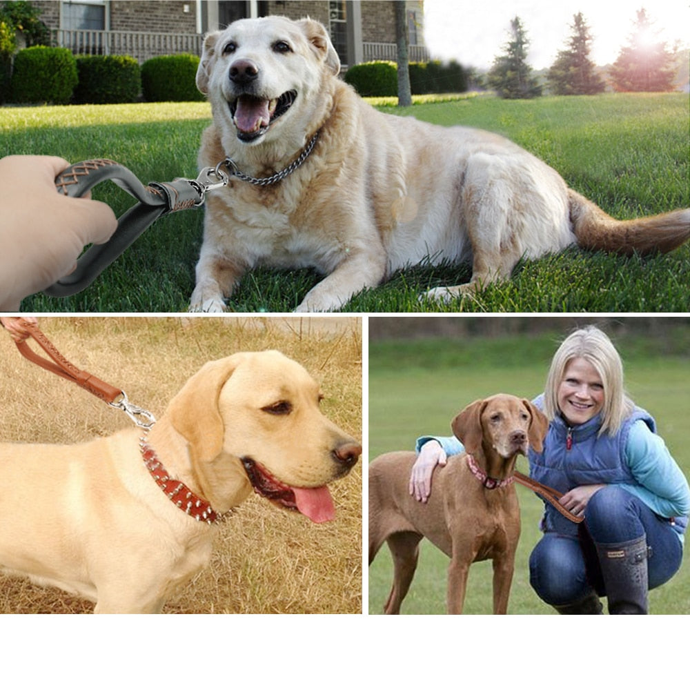 Genuine Leather Short Dog Leash