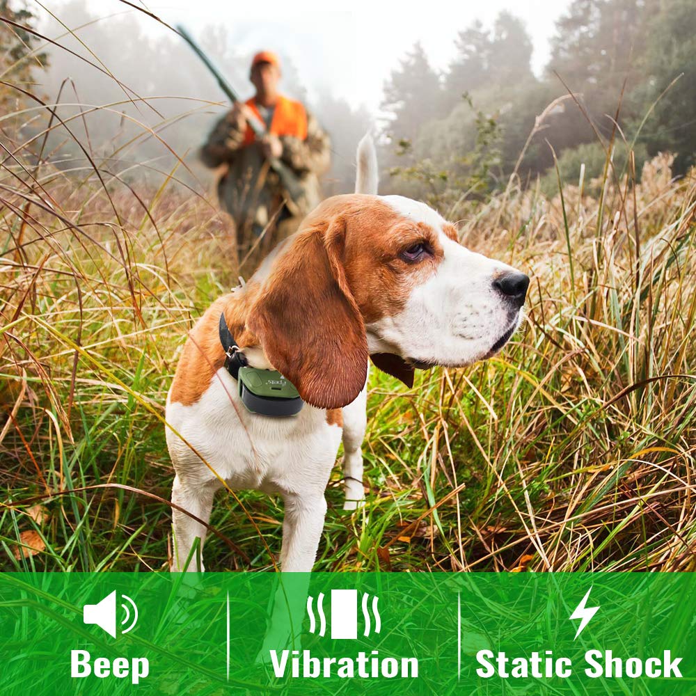 600m Shock Electronic Dog Training Collar