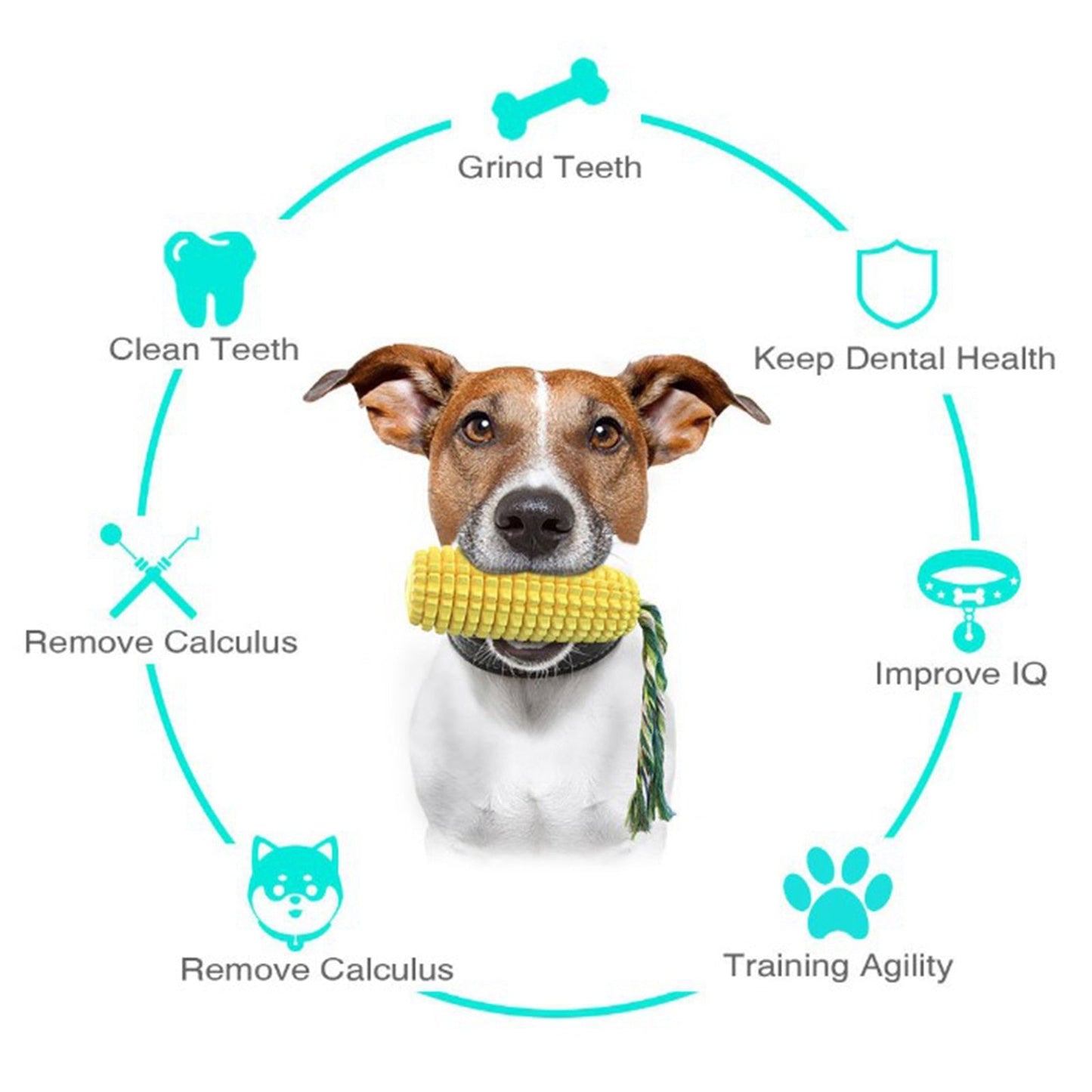 Indestructible Rubber Molar Stick Dog Toy
