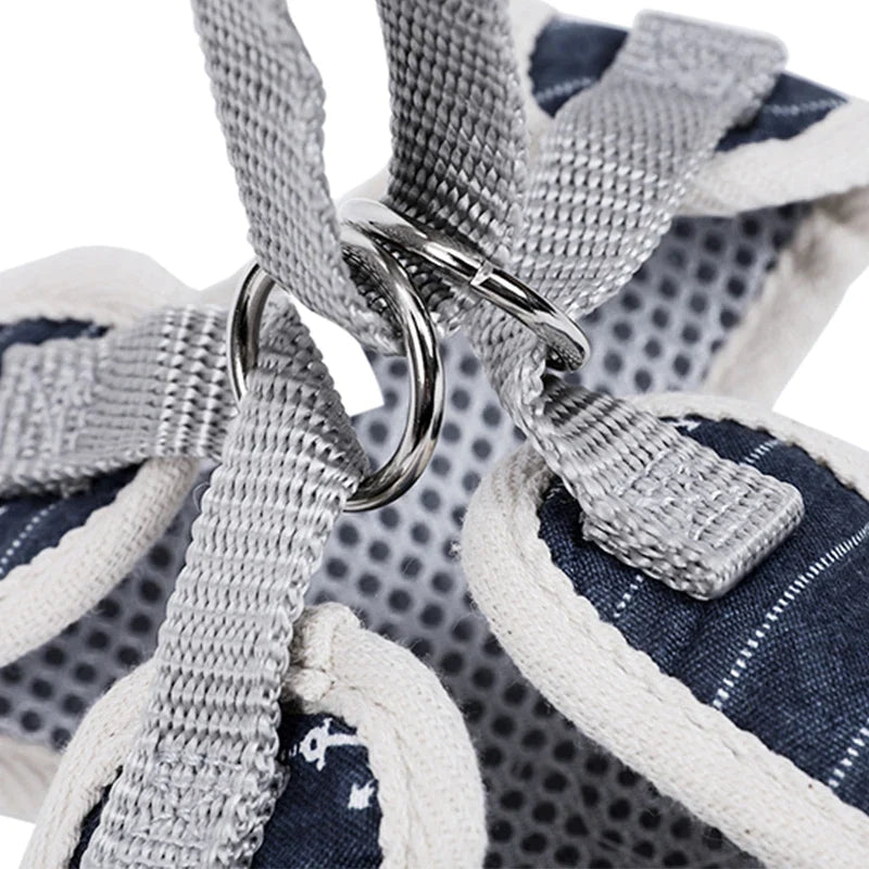 Bowknot Cat Harness & Leash Set