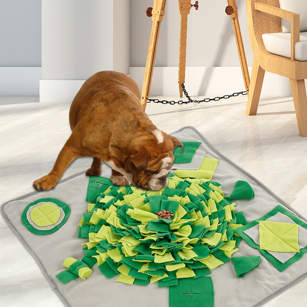 Dogs Fun Puzzle Snuffle Mats
