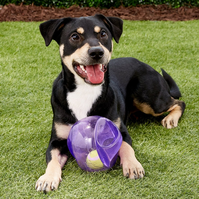 Jumbler Ball Dog Toy