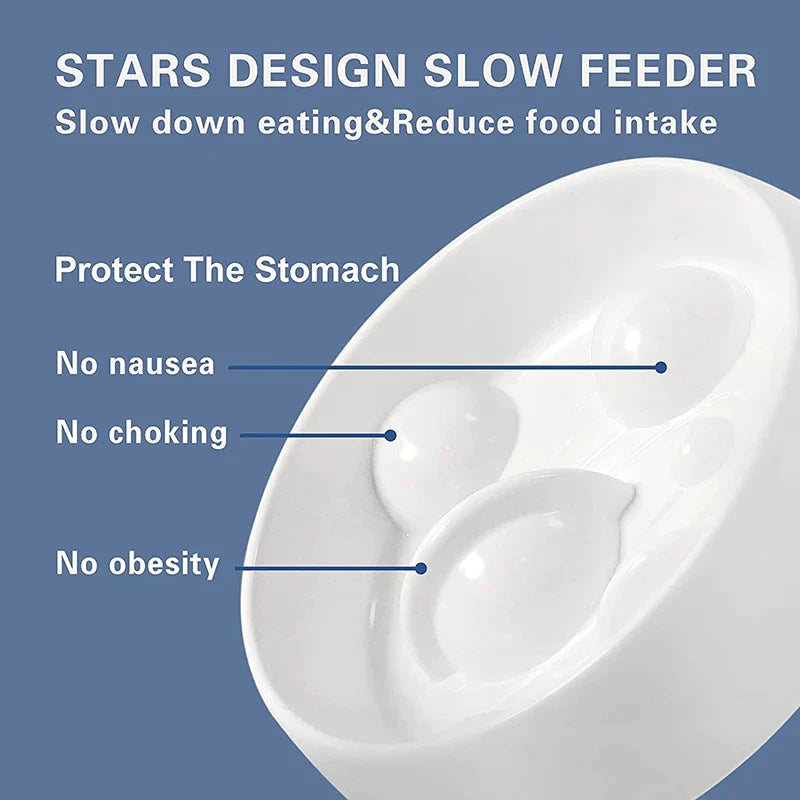 Slow Food Bowl Funny Dog Feeder