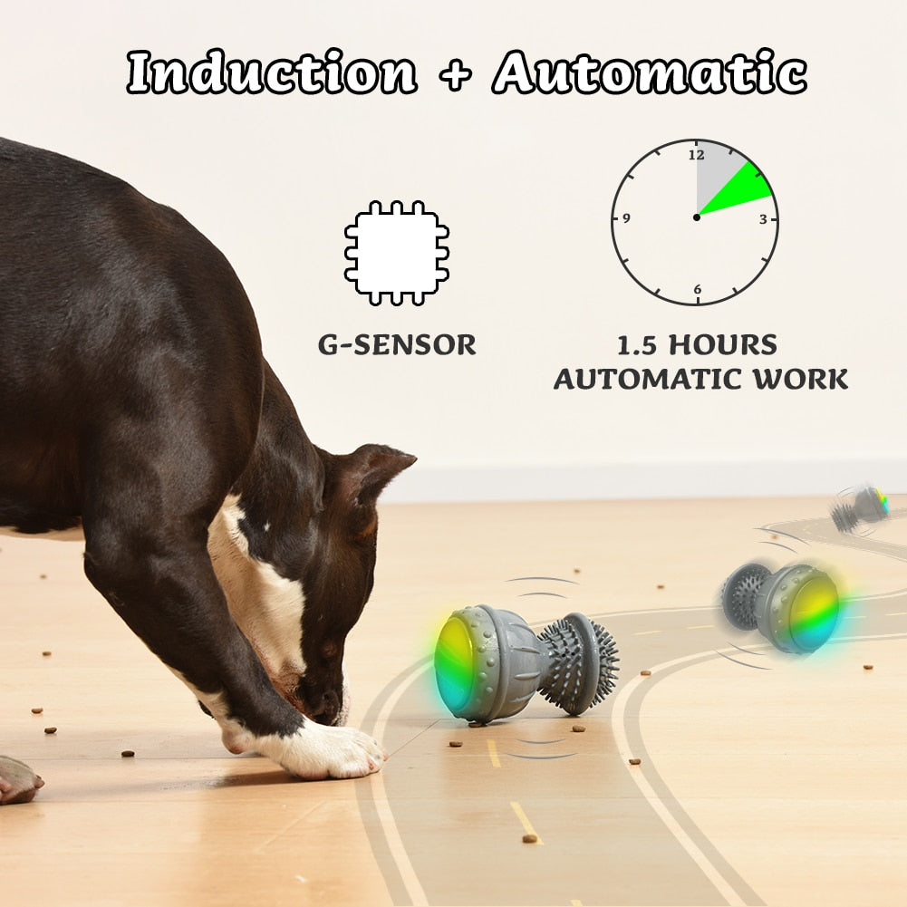 Automatic Interactive Dog Fun Toy