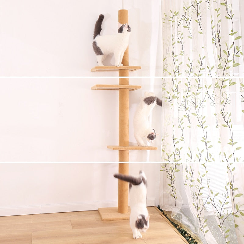 Super High Cat Tree Scratcher Post