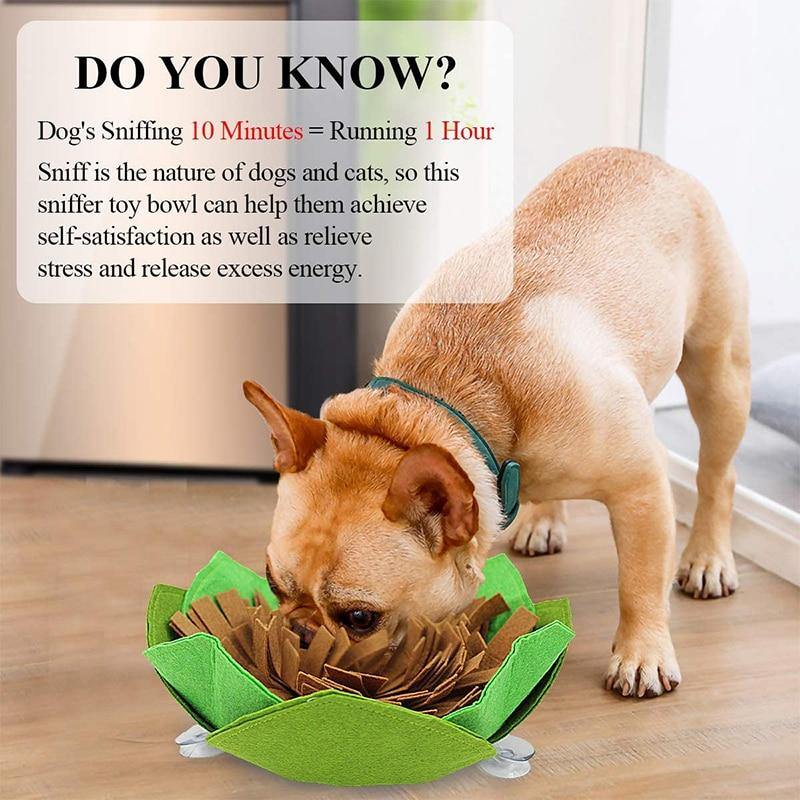 Creative Dog Maze Snuffle Mat - Bark ‘n’ Paws