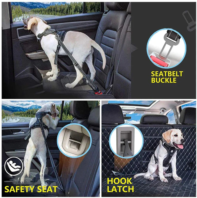 2 In 1 Latch Bar Bungee Dog Car Seat Belt