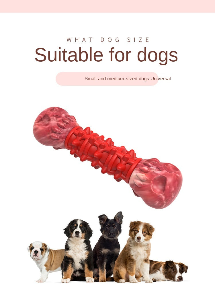 Interactive Dog Molar Chew toy