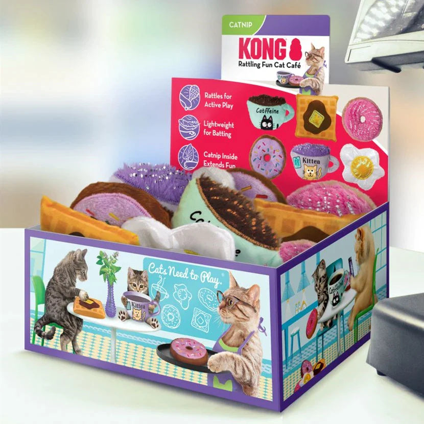KONG BOX For Cat Collection