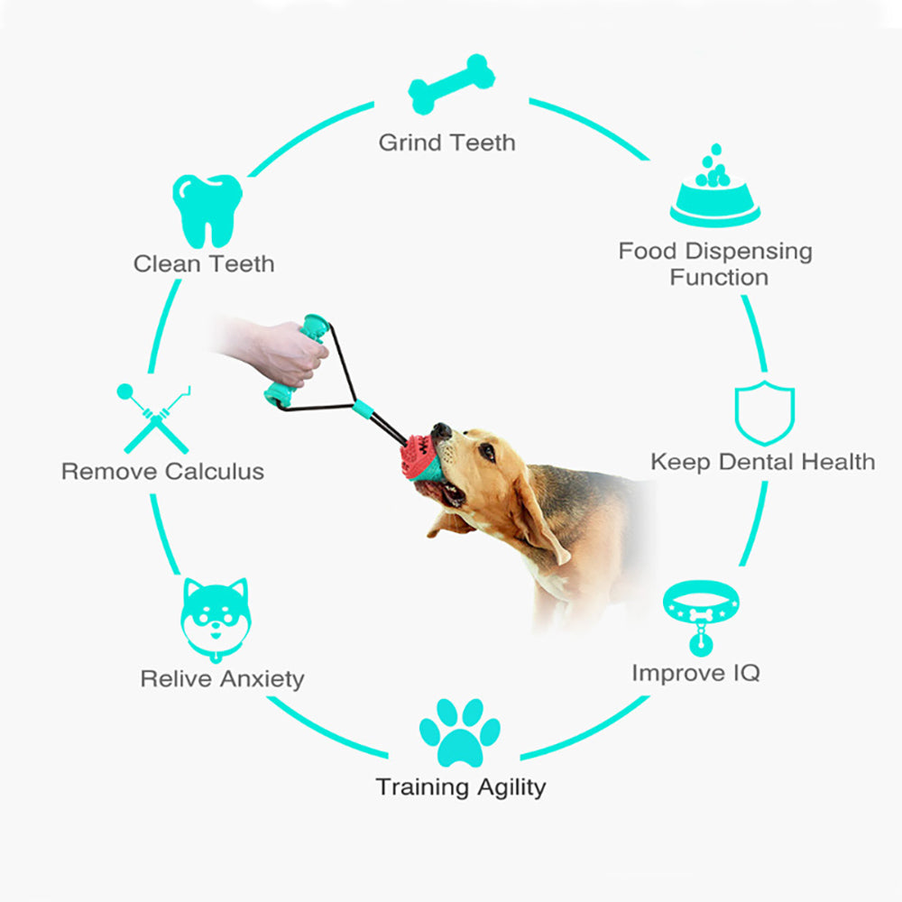 Interactive Rubber Balls Dog Chew Toys