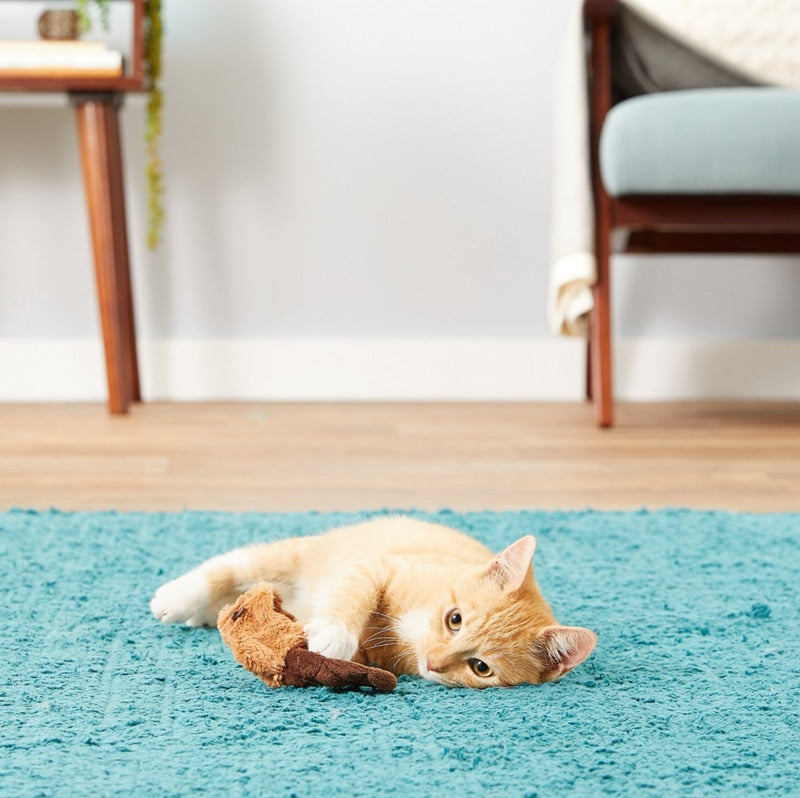 Refillable Beaver Catnip Cat Toy