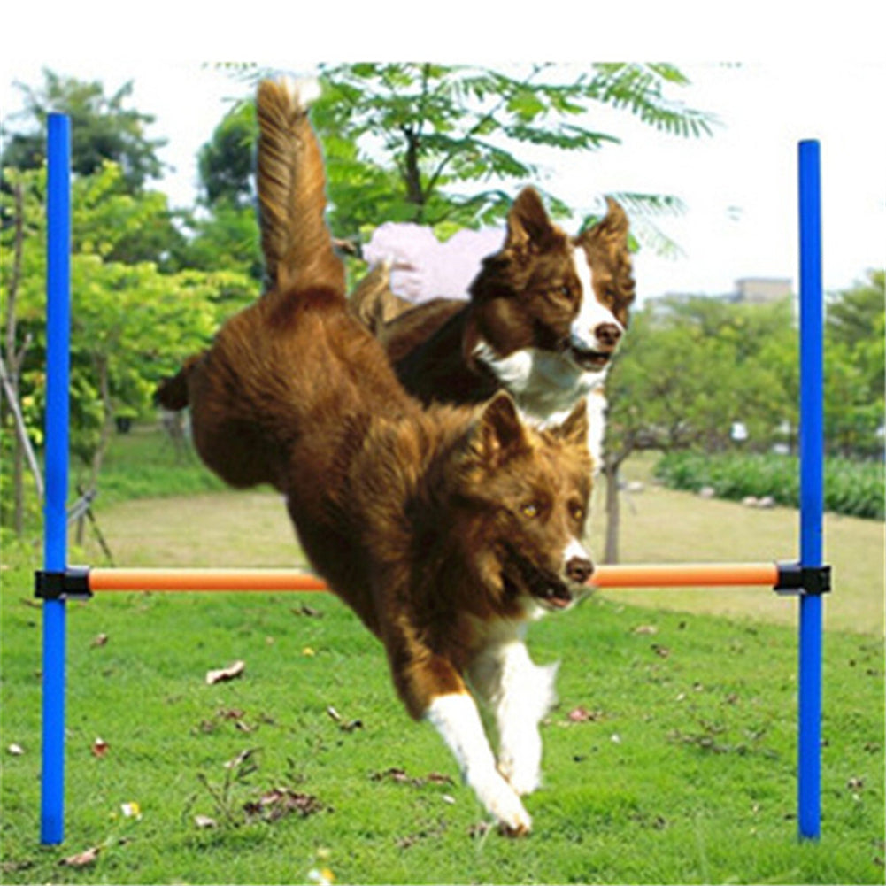 Dogs Outdoors Agile Pole Jump Equipment