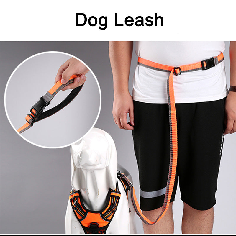 Elastic Bungee Dog Rope Leash