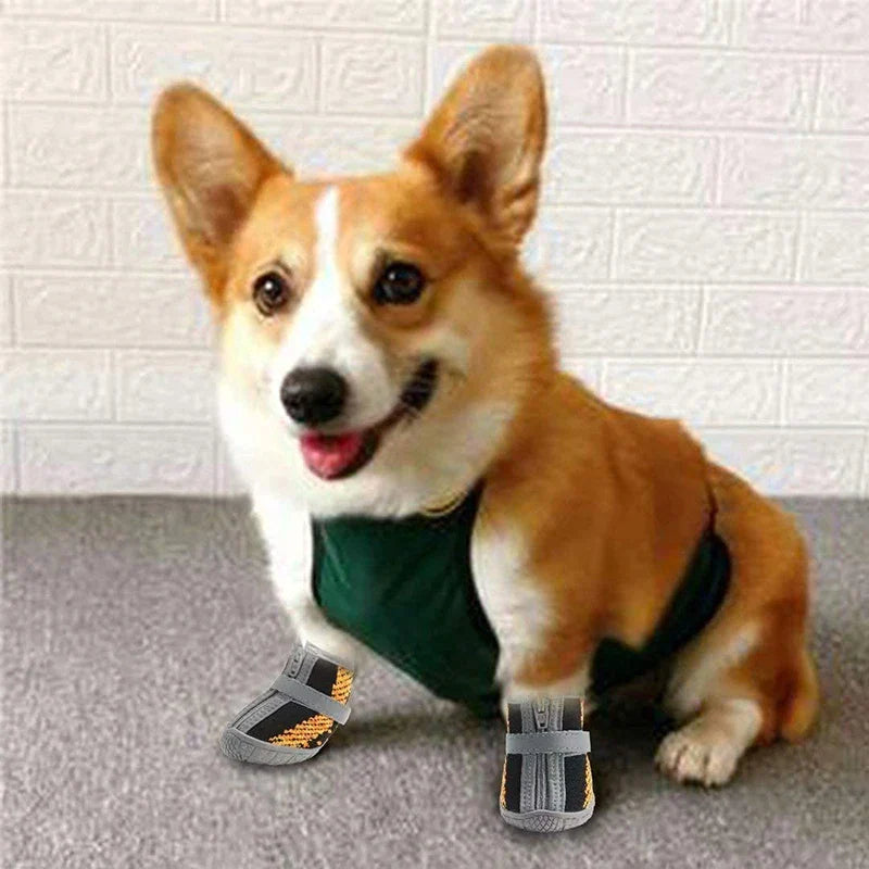 3M Reflective Straps Dog Shoes