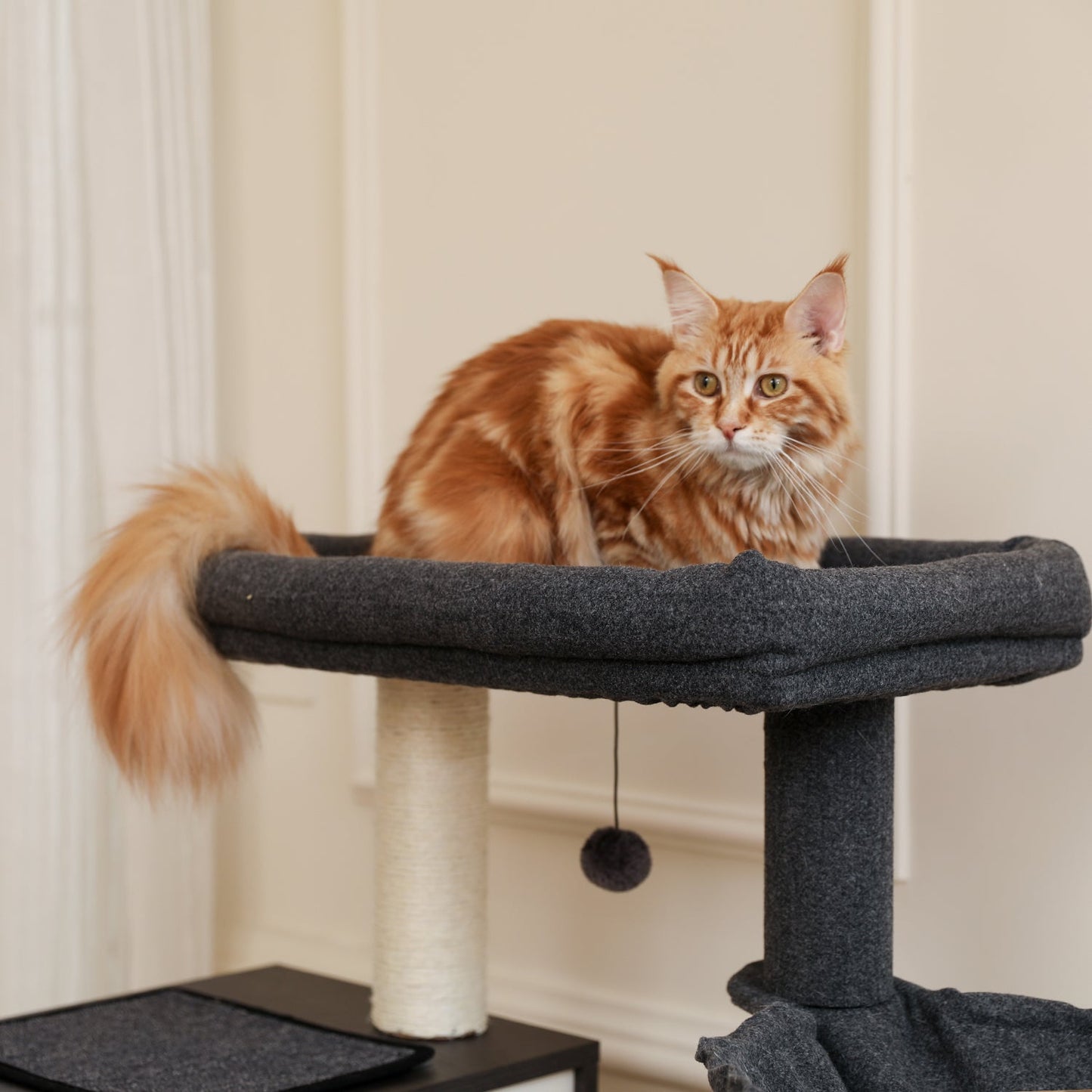 Luxury Cat Tree Tower With Cabinet
