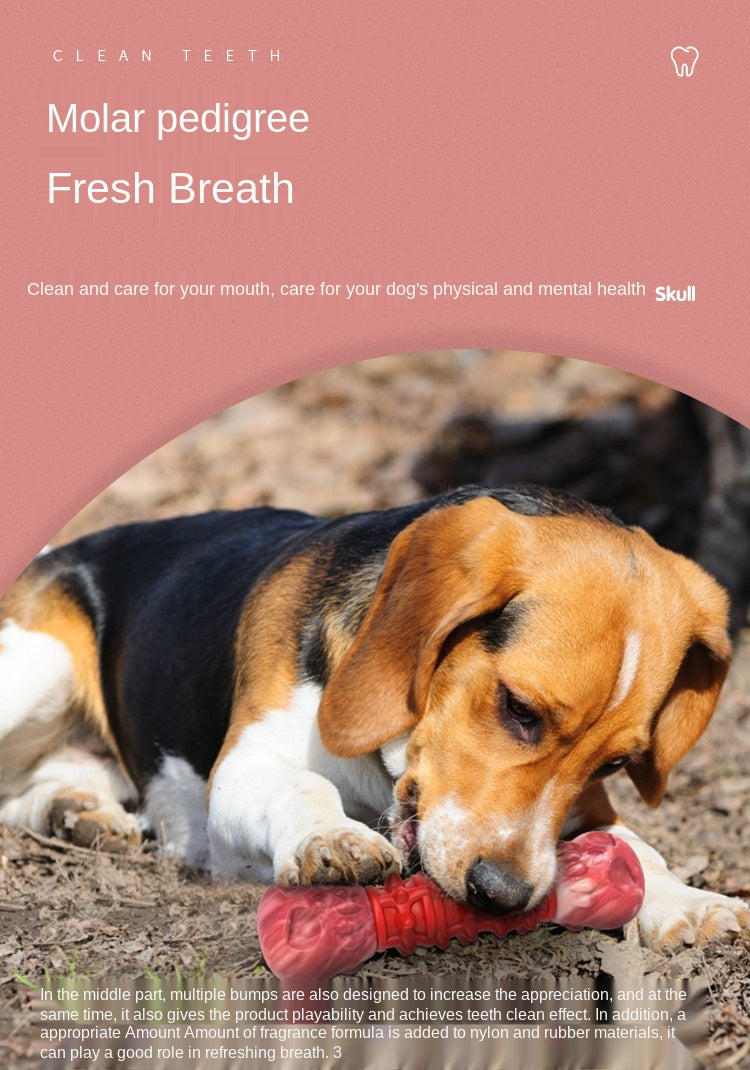 Interactive Dog Molar Chew toy