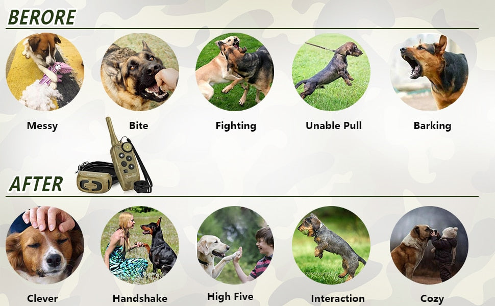 800m Electric Waterproof Dog Training Collar