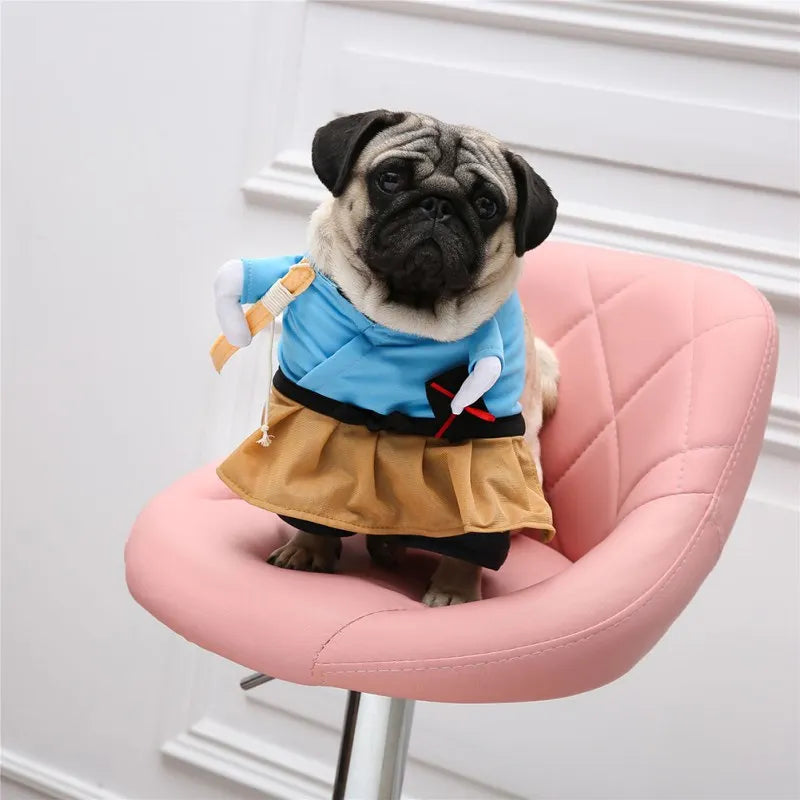 Funny Samurai Pet Halloween Costume