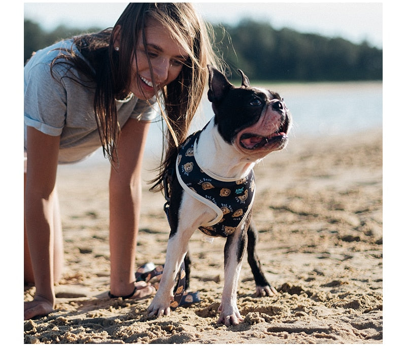 Fashion Dog Harness Vests