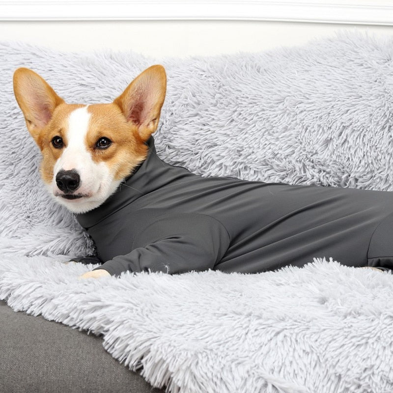 Large Dogs Long Sleeved Jumpsuit