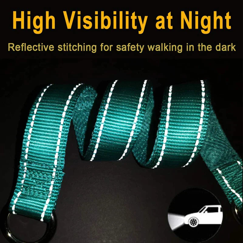 Durable Reflective Soft P Dog Collar