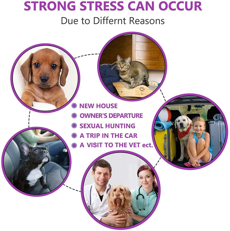 Lasting Natural Calming Dog Collar