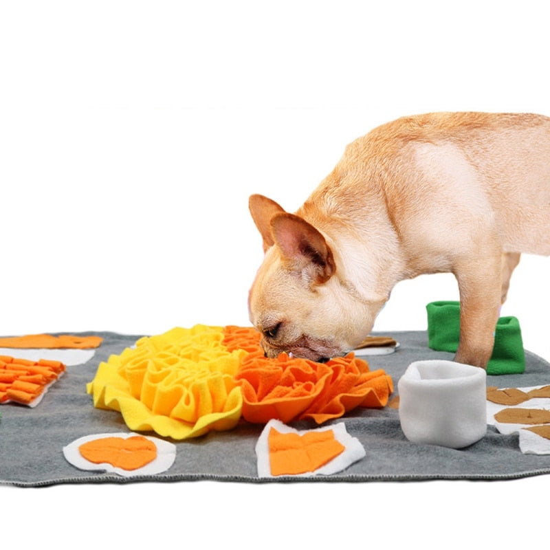 Pet Dog Puzzle Snuffle Mat