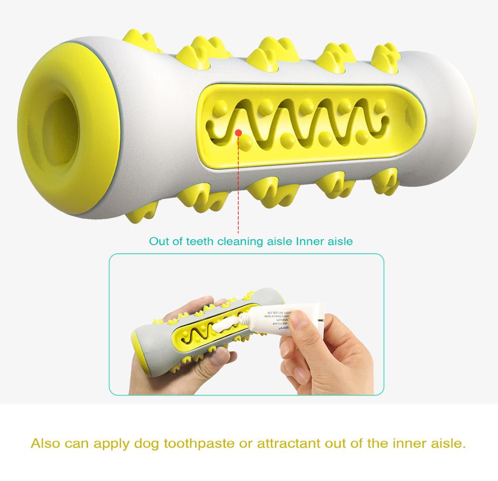 Jagged Molar Chewy Fun Toy