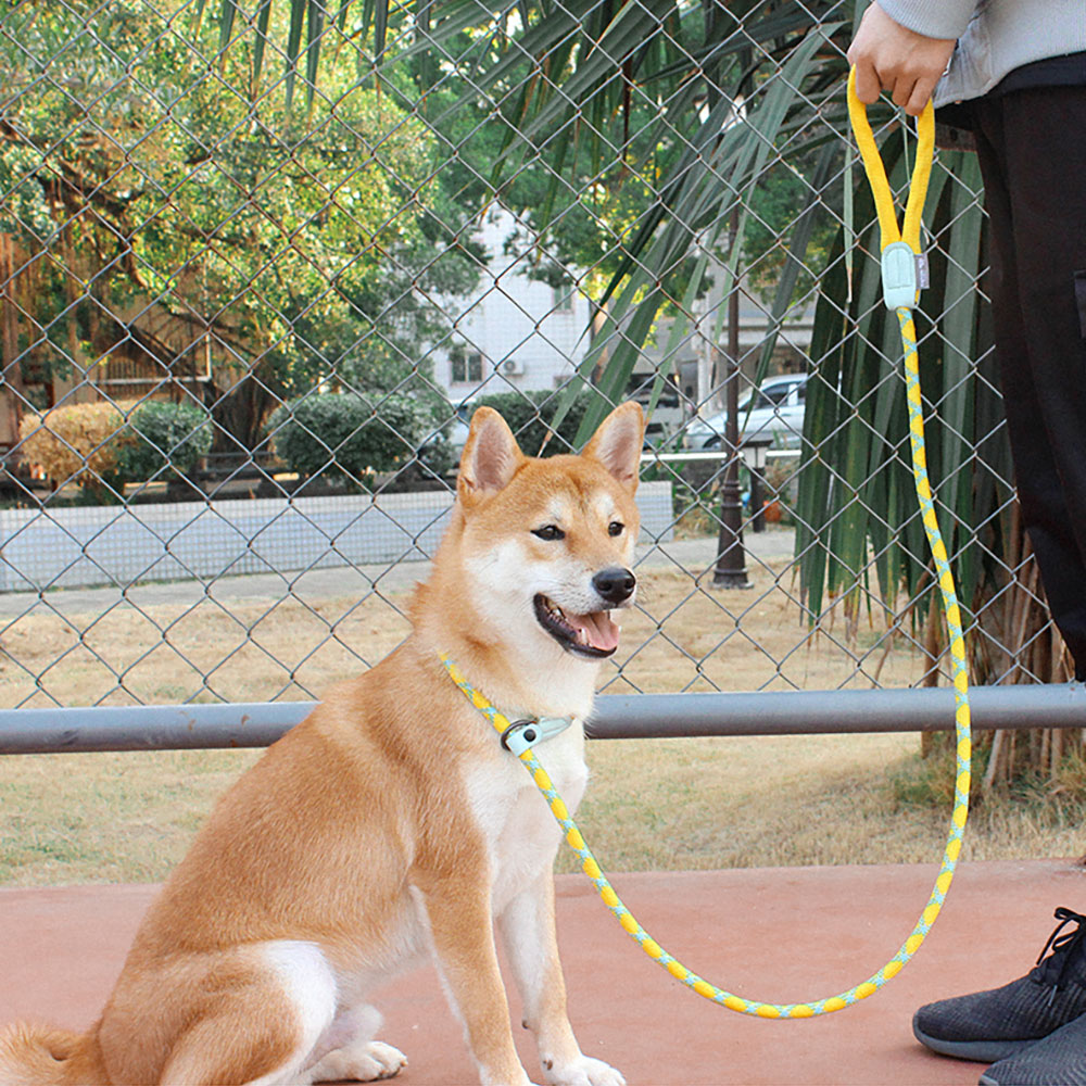 Heavy Duty Reflective Braided Dog Leash
