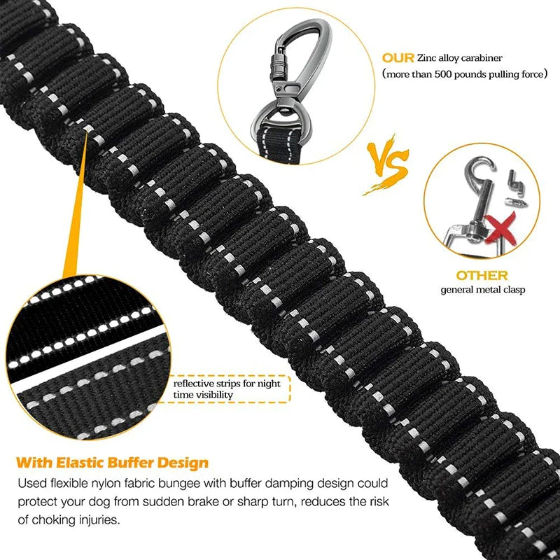 Shock Absorbing Bungee Dog Leash