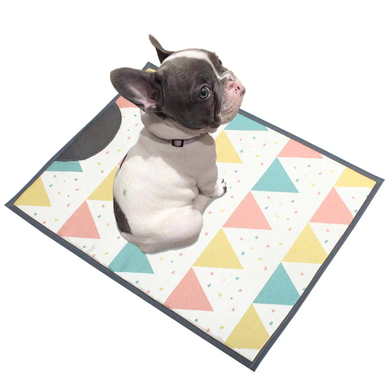 Fashion Summer Ice Silk Dog Mat