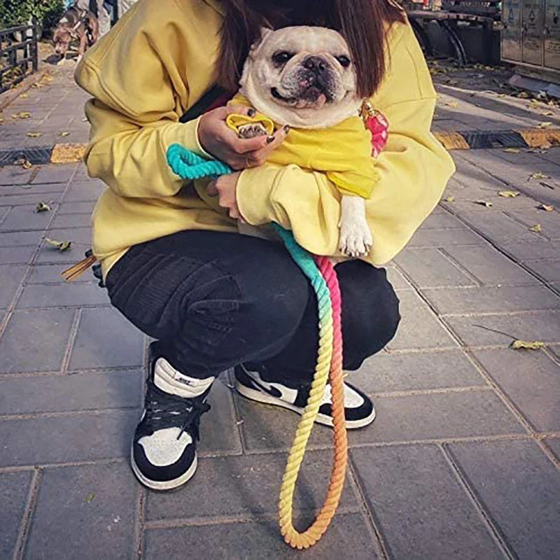 Heavy Duty Soft Handle Dog Leash