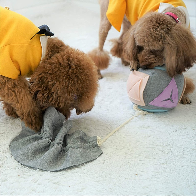 Premium Durable Dog Snuffle Mat