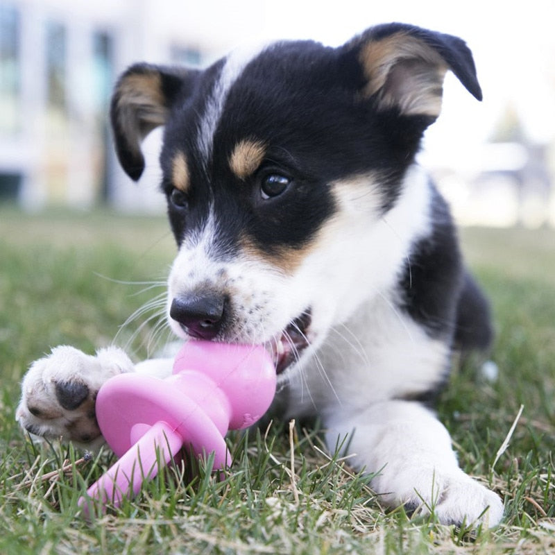 Puppy Binkie Dog Toy