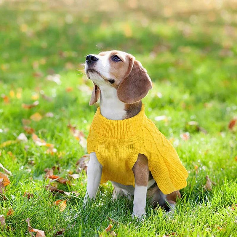 Small Dog Fashion Knit Dresses