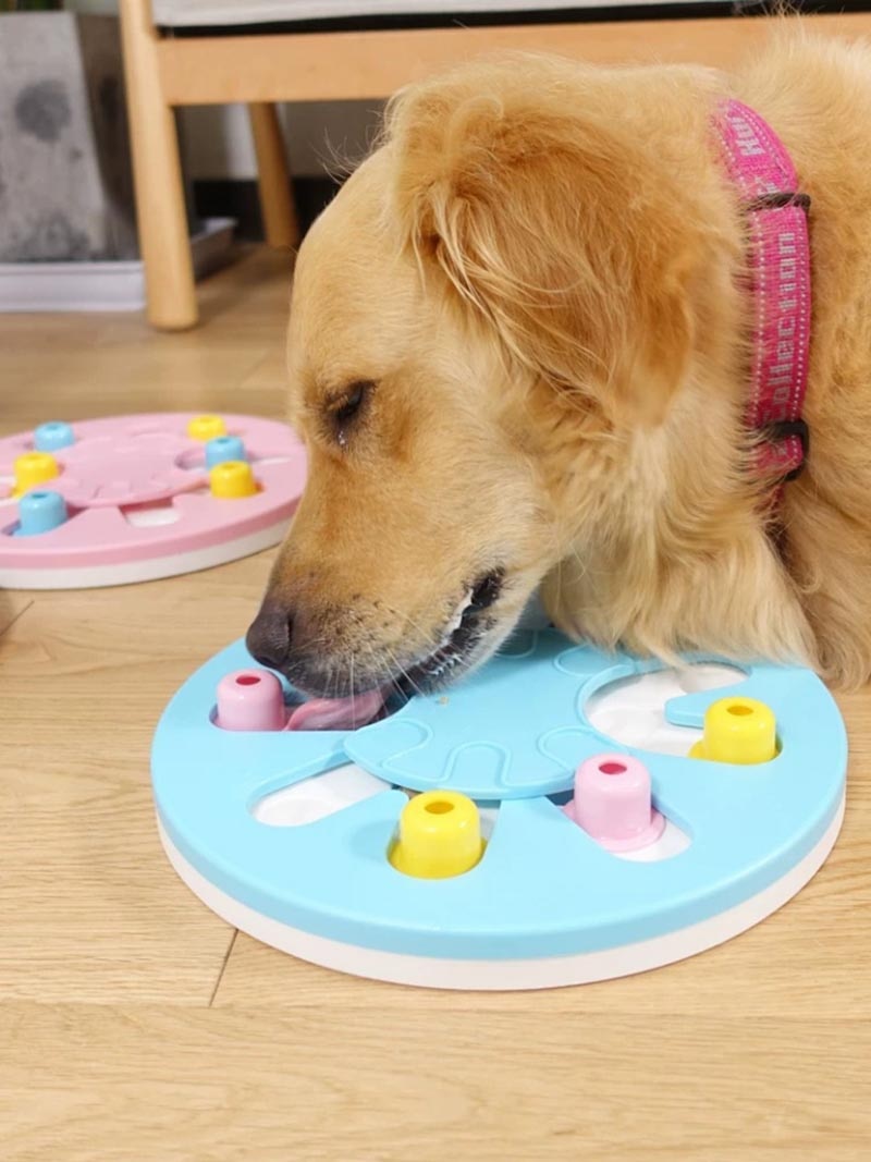 Dog IQ Fun Puzzle Toy Box