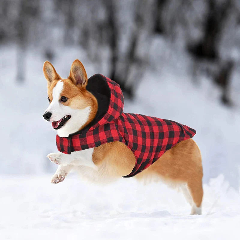 Warm Classic Plaid Dog Jacket
