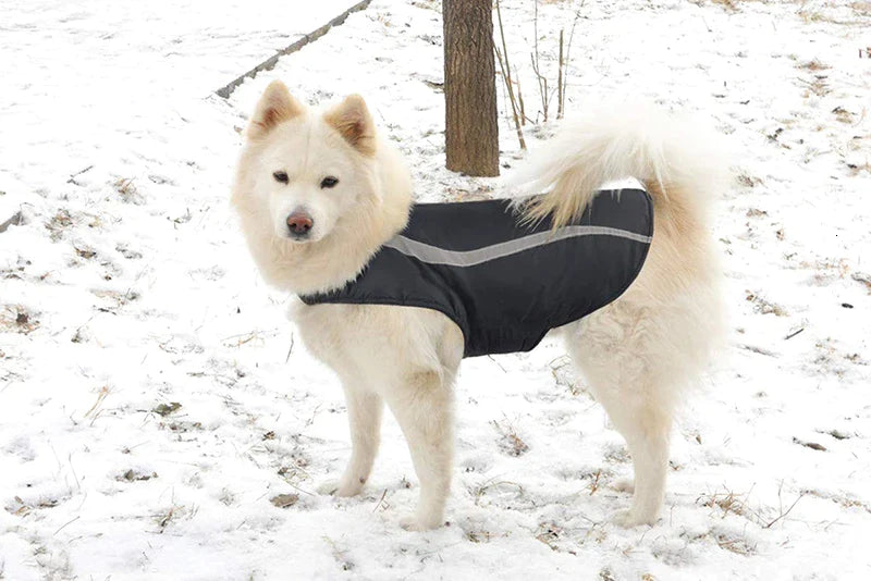 Warm Durable Winter Dog Jacket
