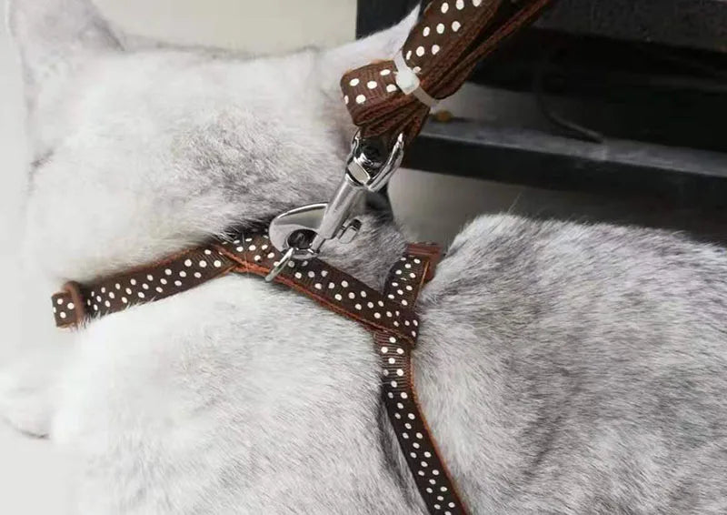 Dot & Plaid Cat Harness & Leash